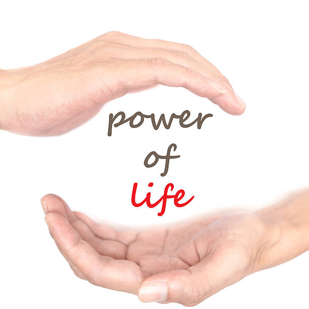 istock Hands concept - power of life 480010480