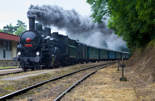 vintage steam train during  railway memorioal day in Czech republic