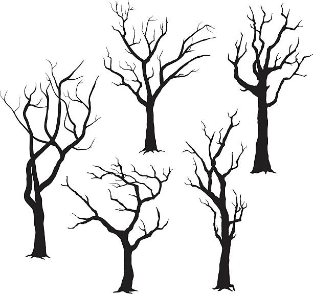 ilustraciones, imágenes clip art, dibujos animados e iconos de stock de árbol silhouettes- medio - isolated background objects