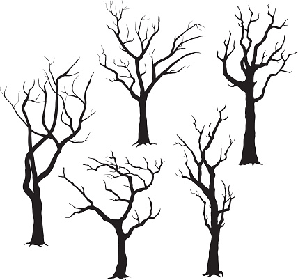 A vector illustration of Tree Silhouettes- Illustration.