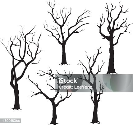 2,077 Drawing Of Tree Without Leaves Stock Photos, Pictures ...