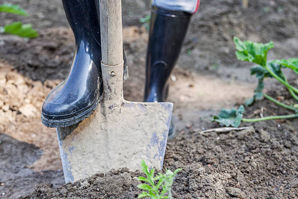 istock woman digging in the garden with black boots 480019360