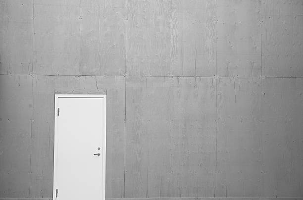 istock White door and the wall 480022104