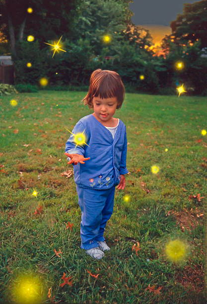 Catching Fireflies stock photo