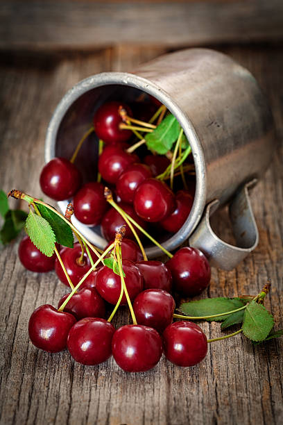 istock Sweet cherries  in a vintage bowl 480035826
