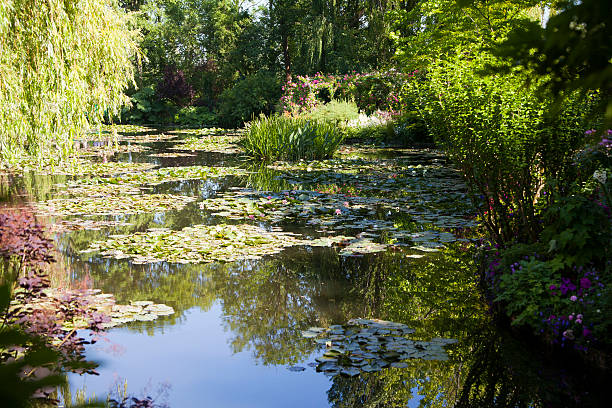 Pond with water lilies in the park Trees and bushes with flowers around the lake with water lilies .on a sunny day background image.Garden of Claude Monet in Giverny, France. foundation claude monet photos stock pictures, royalty-free photos & images