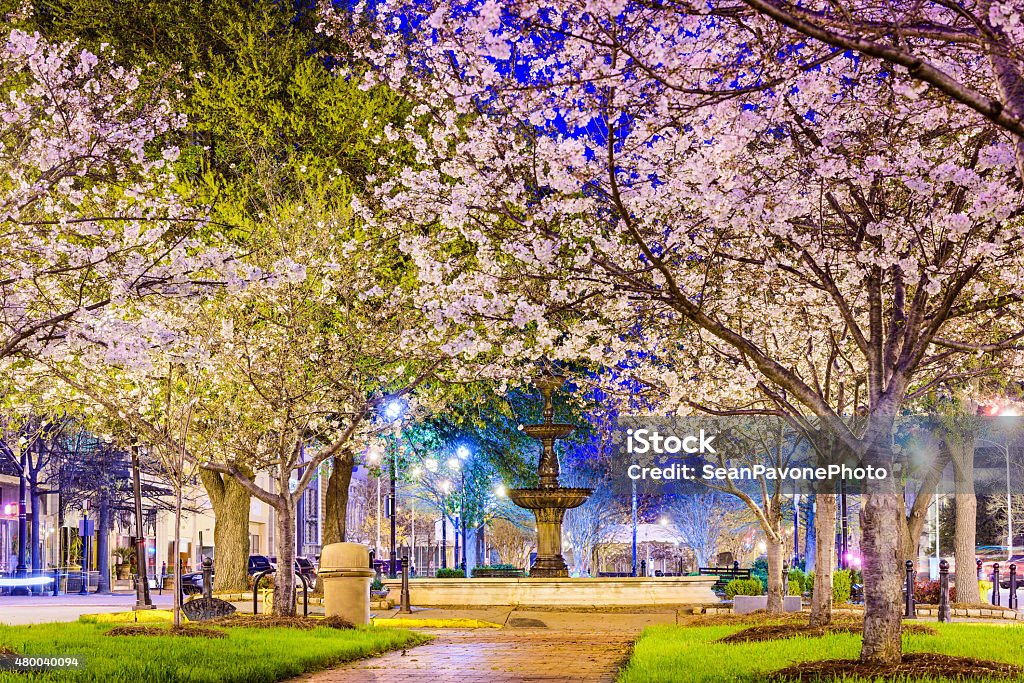 Macon Spring Macon, Georgia, USA downtown with spring cherry blossoms. Georgia - US State Stock Photo