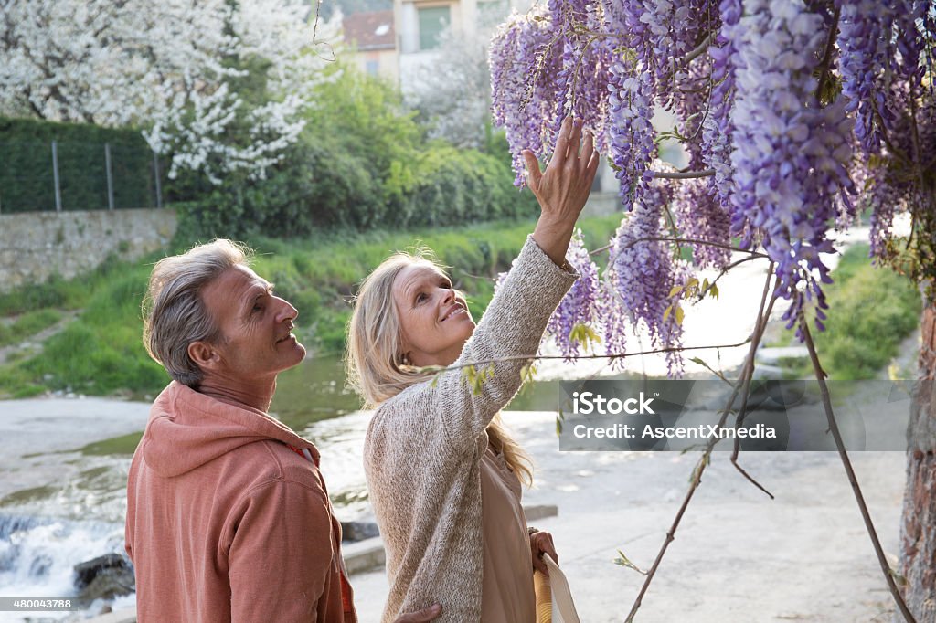 Couple gaze up at flowers in Liguria, Italy. Couple gaze up at flowers in Liguria, Italy. Creek and house in background 2015 Stock Photo