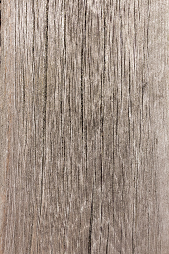 Textura de madera primer plano de fondo de madera photo
