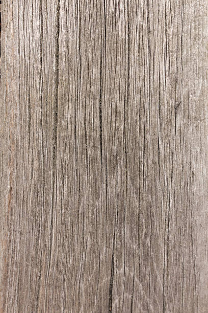 texture de bois gros plan de fond en bois - driftwood photos et images de collection