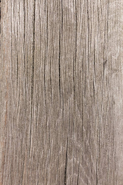 木の質感のクローズア��ップの木製の背景 - driftwood ストックフォトと画像