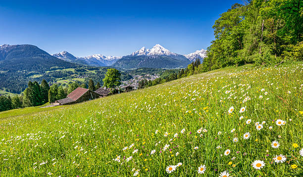 istock Idyllic summer landscape in the Alps 480044818