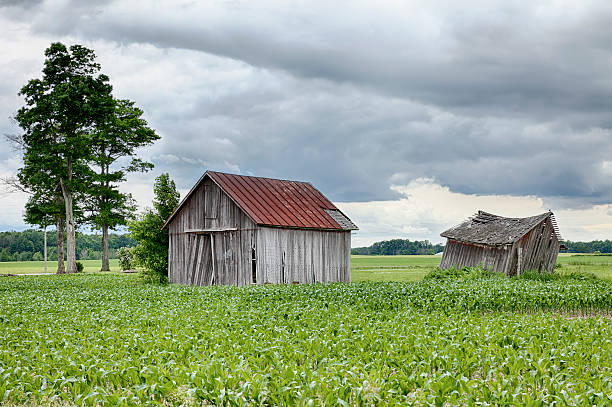 dos farm hangares en ohio - storm storm cloud hdr barn fotografías e imágenes de stock