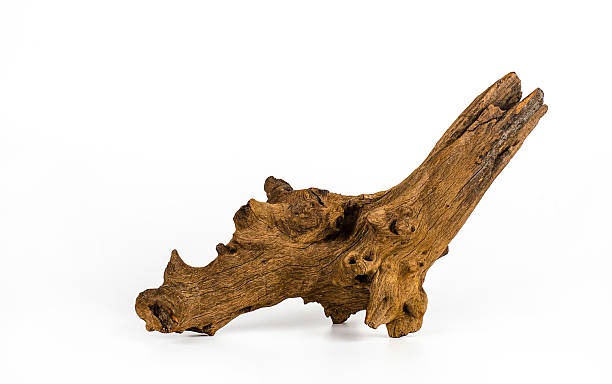 istock Piece of wood on white background. 480052232