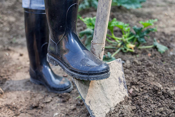 istock woman digging in the garden with black boots 480053740