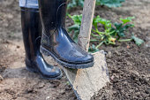 woman digging in the garden with black boots