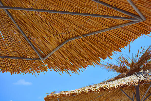 istock Straw Beach Umbrellas. Natural summer background with copy space 480053756