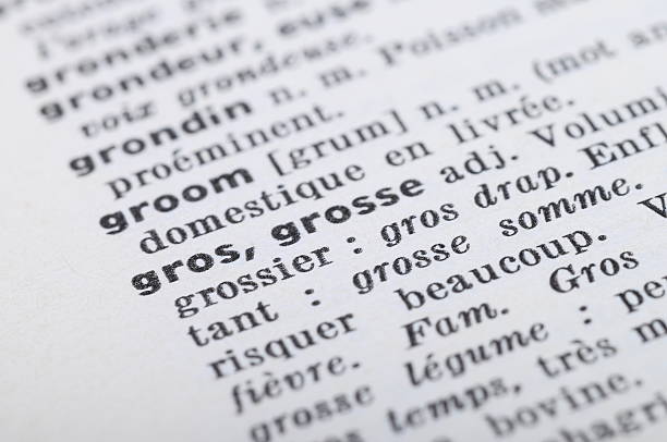 istock French Dictionary at the word Fat 480054783