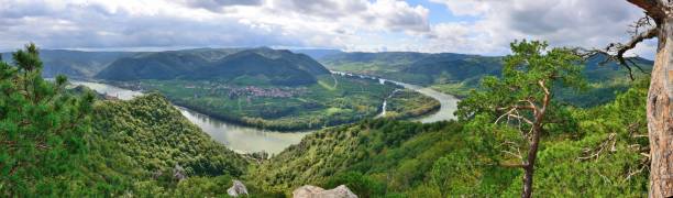 파노라마 over dürnstein 성 (다뉴브/오스트리아 - danube valley 뉴스 사진 이미지