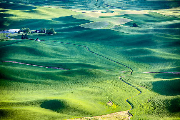 istock Farm Landscape In The Palouse 480057076