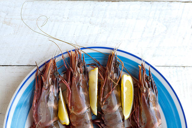 Tiger prawns/shrimp stock photo