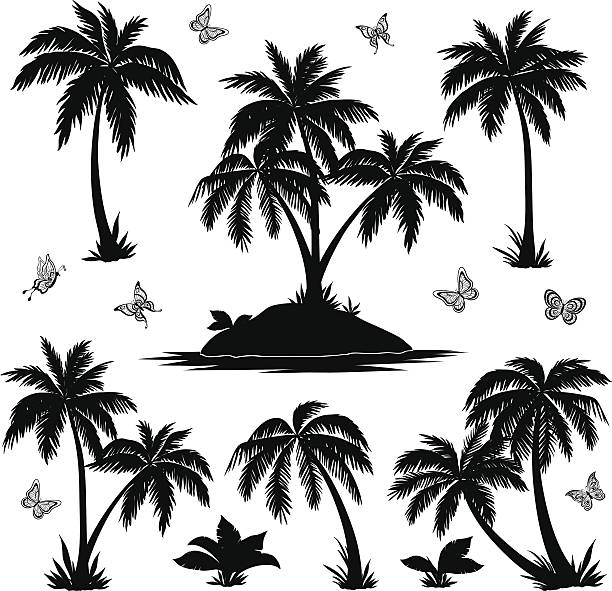 Tropical island, palms and butterflies silhouettes Tropical set: sea island with plants, palm trees, flowers and butterflies, black silhouettes isolated on white background. Vector subtropical stock illustrations