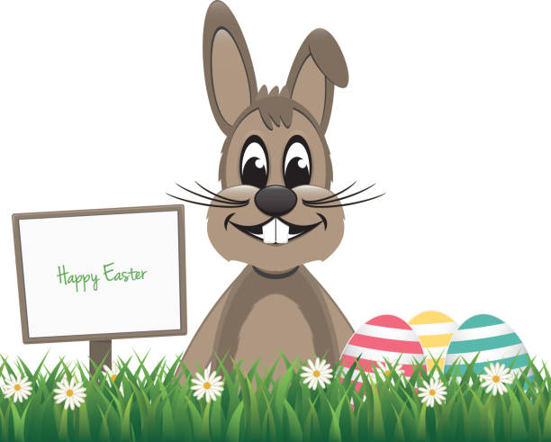 브라운 행복함 토끼 팻말 의사협회 색상화 에그스 격리됨에 - easter egg isolated remote frame stock illustrations