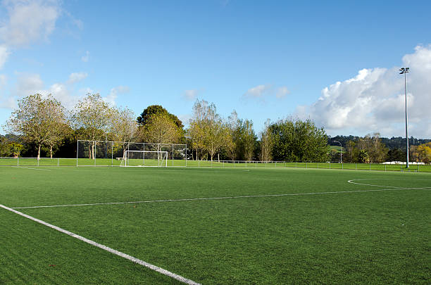 istock Association football pitch 480060971