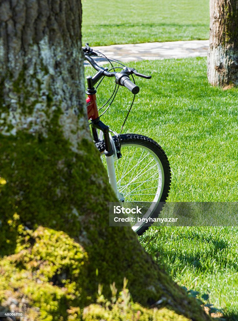 bicycle  bicycle in forest.  2015 Stock Photo