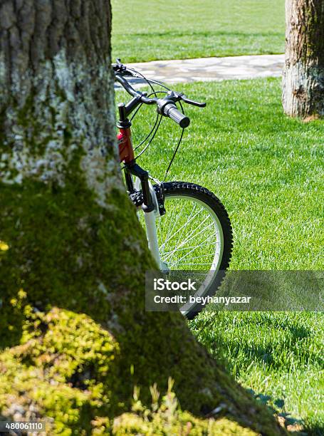 Bicycle Stock Photo - Download Image Now - 2015, At The Edge Of, Balcony