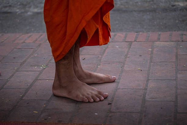 istock Monk's bare feet on the footpath in Luang Prabang 480062566