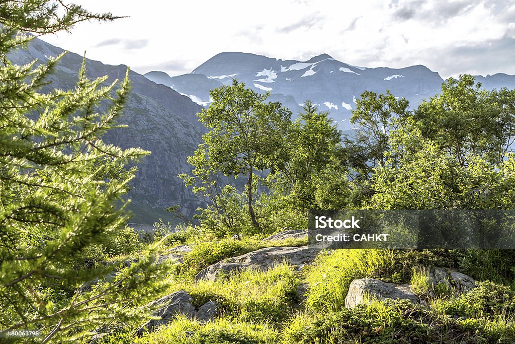 Mont Blanc - Royalty-free Alpes Europeus Foto de stock