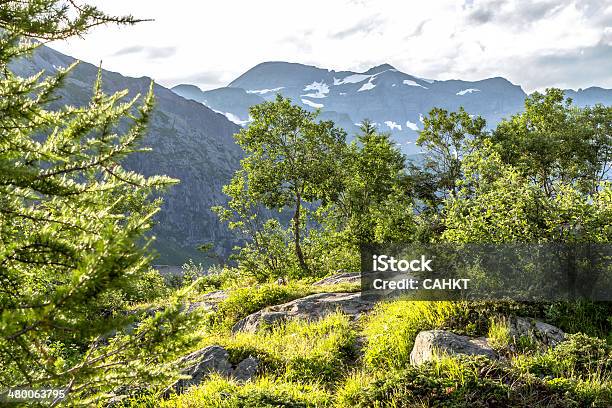 Mont Blanc - Fotografias de stock e mais imagens de Alpes Europeus - Alpes Europeus, Alto - Descrição Física, Azul