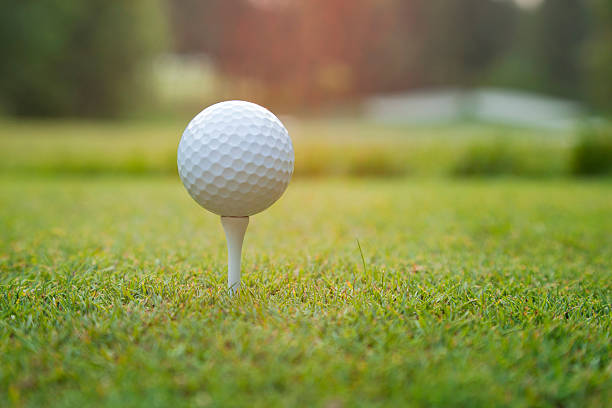 istock Close up of golf ball on tee at sundown 480065780