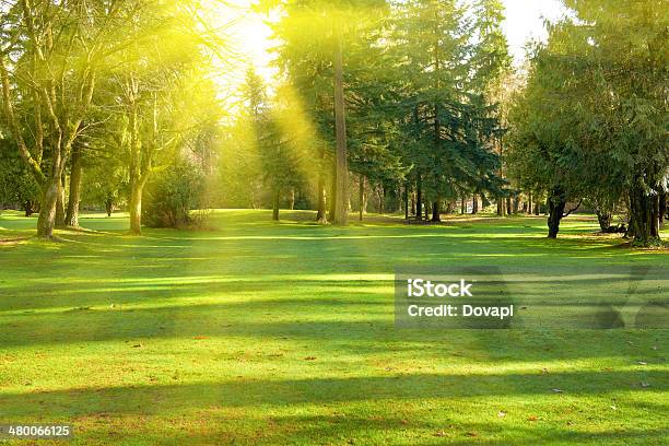 Green Park Stock Photo - Download Image Now - Agricultural Field, Beauty, Beauty In Nature