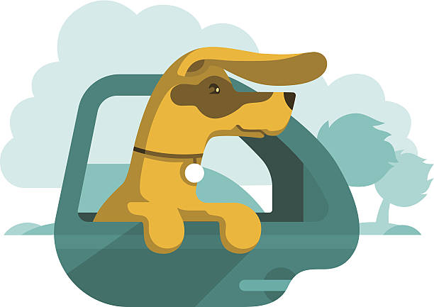 illustrazioni stock, clip art, cartoni animati e icone di tendenza di cane in auto è guardare fuori dalla finestra - dog car