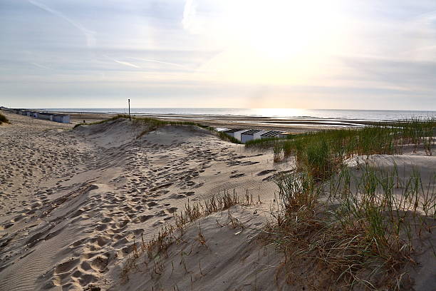 istock sandy beach on the island of Walcheren 480070342