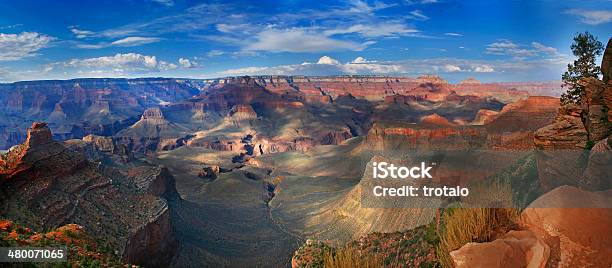 Grand Canyon National Park Arizona Usa Landscape Stock Photo - Download Image Now