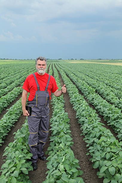 istock Farmer or agronomist in soy field 480072948