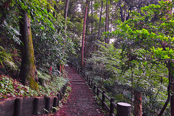 istock Woodlands of hiking trails 480076402
