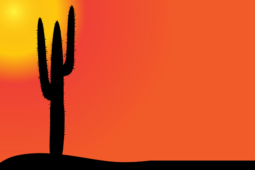 Vector silhouette of cactus in the desert at sunset.