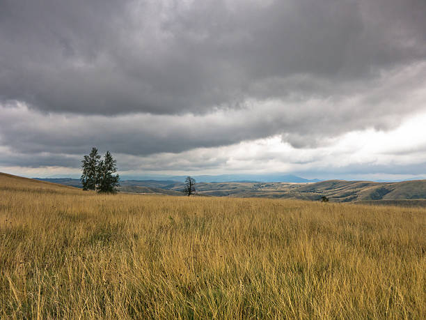 istock Dark clouds over prairie path through hillsides with dry vegetation 480082022