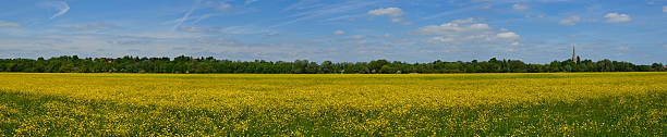 Hemmingford water meadow in flower Hemmingford water meadow near St Ives Cambridgeshire covered in flowers. cambridgeshire stock pictures, royalty-free photos & images