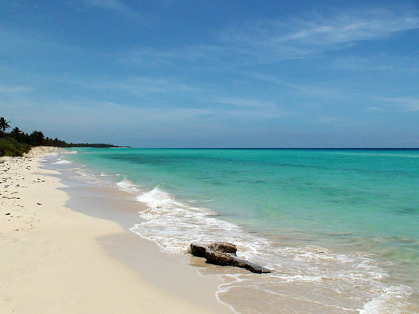 istock Playa del Este Beach In  Havana,Cuba,Latin America 480088572