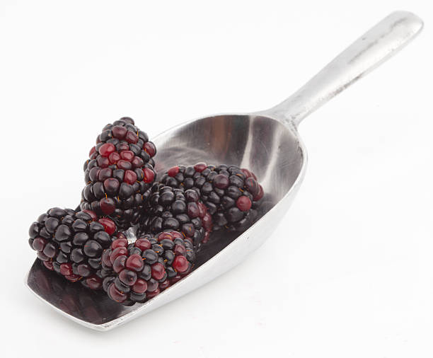 istock Sweet blackberries on shovel 480089388
