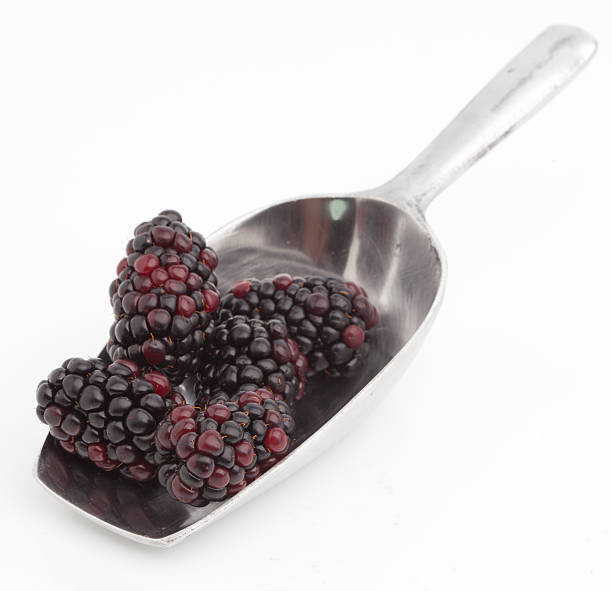 istock Sweet blackberries on shovel 480089400
