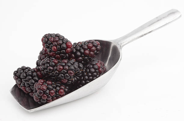 istock Sweet blackberries on shovel 480089402