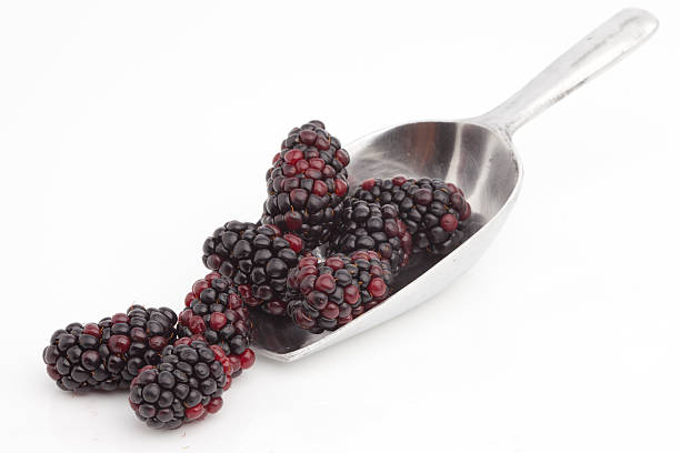istock Sweet blackberries on shovel 480089406