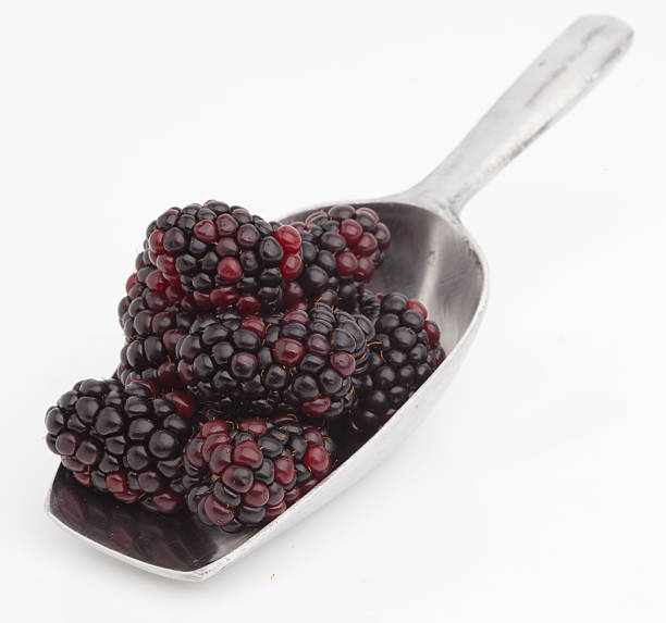 istock Sweet blackberries on shovel 480089434