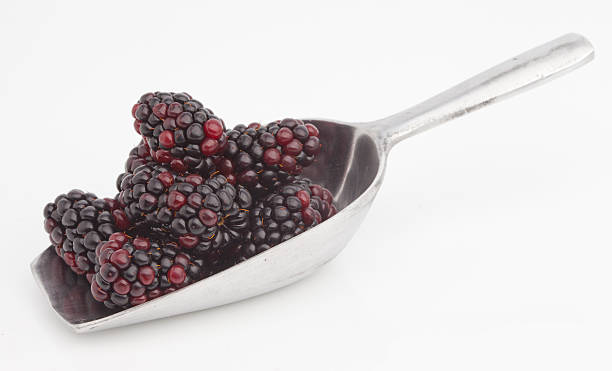 istock Sweet blackberries on shovel 480089436
